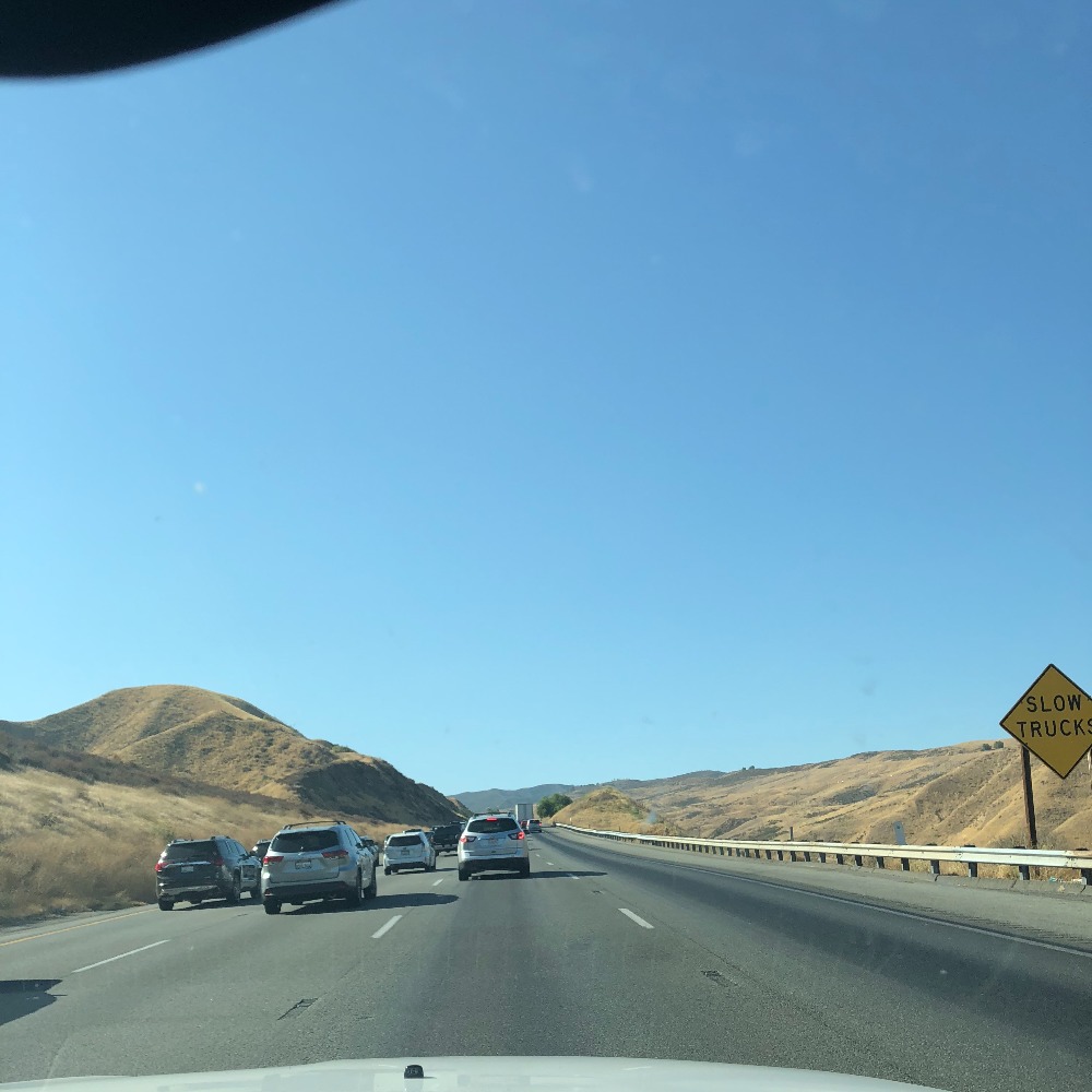 Meet your Posher, Glenda